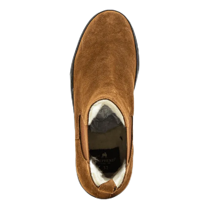 Amber Brown